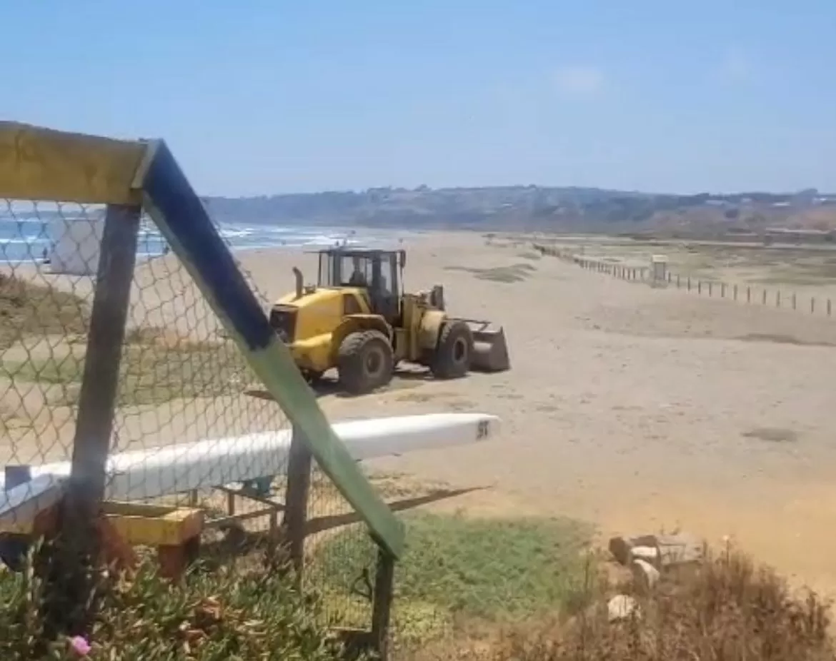 Denuncian ingreso de maquinaria pesada por humedal de Concón causando daño a nidales del borde