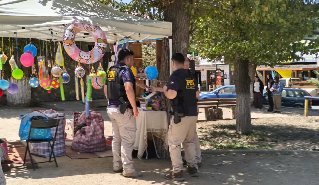 PDI realiza fiscalización masiva de extranjeros en ámbito del Festival del Huaso de Olmué