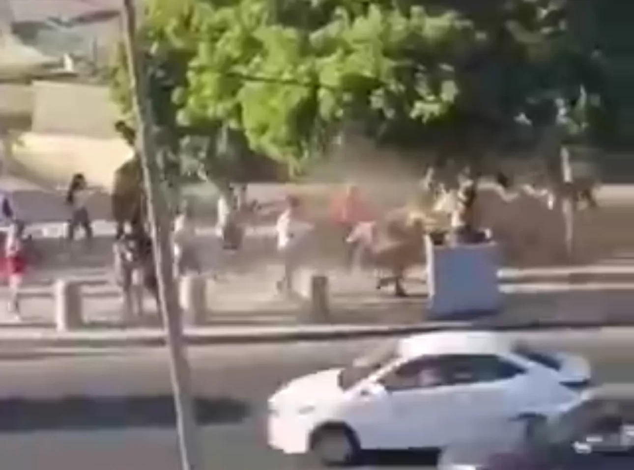 Cinco lesionado deja violenta riña que involucró a turistas en abrigo Abarca de Viña del Mar