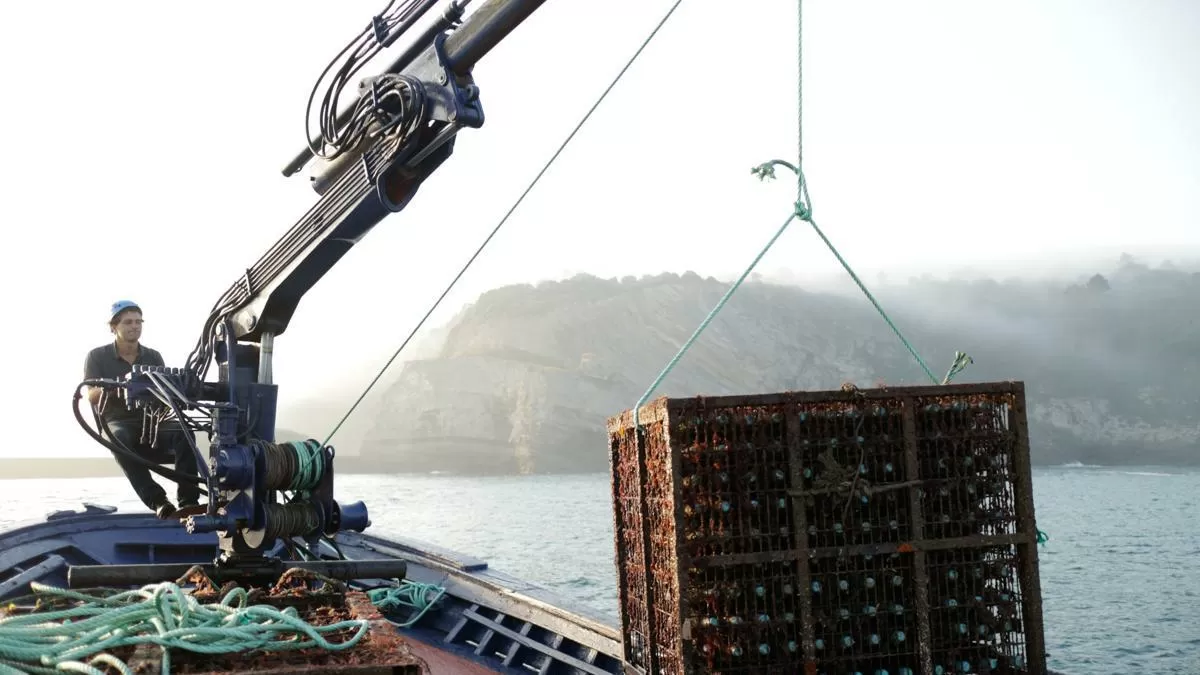 Vinos sumergidos en el cimiento del mar Cantábrico para conseguir el acompañamiento perfecto de las ostras: “Absorbemos la energía marina y antojo para transformarla en una calidad única”