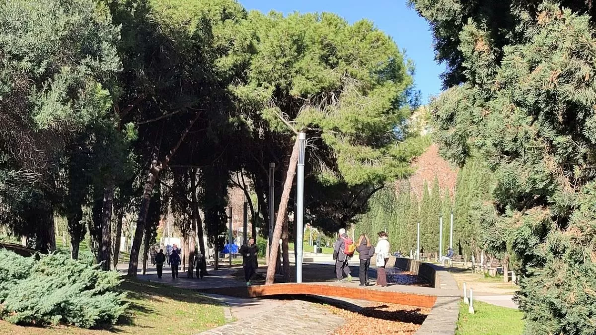 El río de hojas secas de la Vila Olímpica