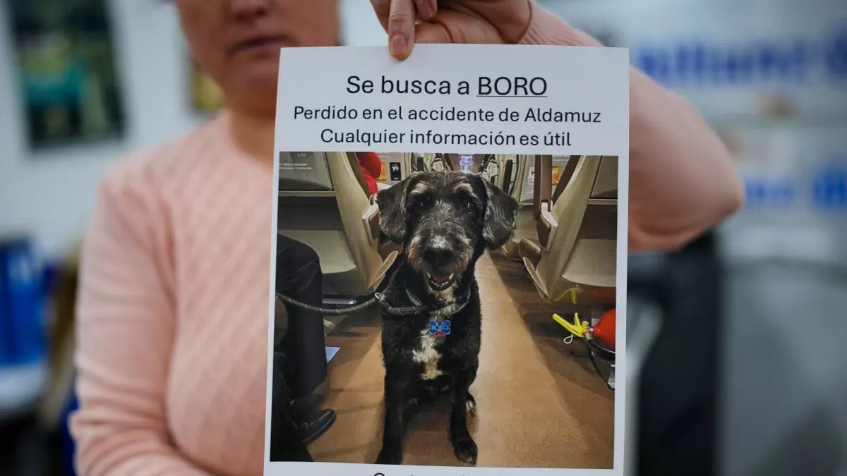 El morro del perro Boro