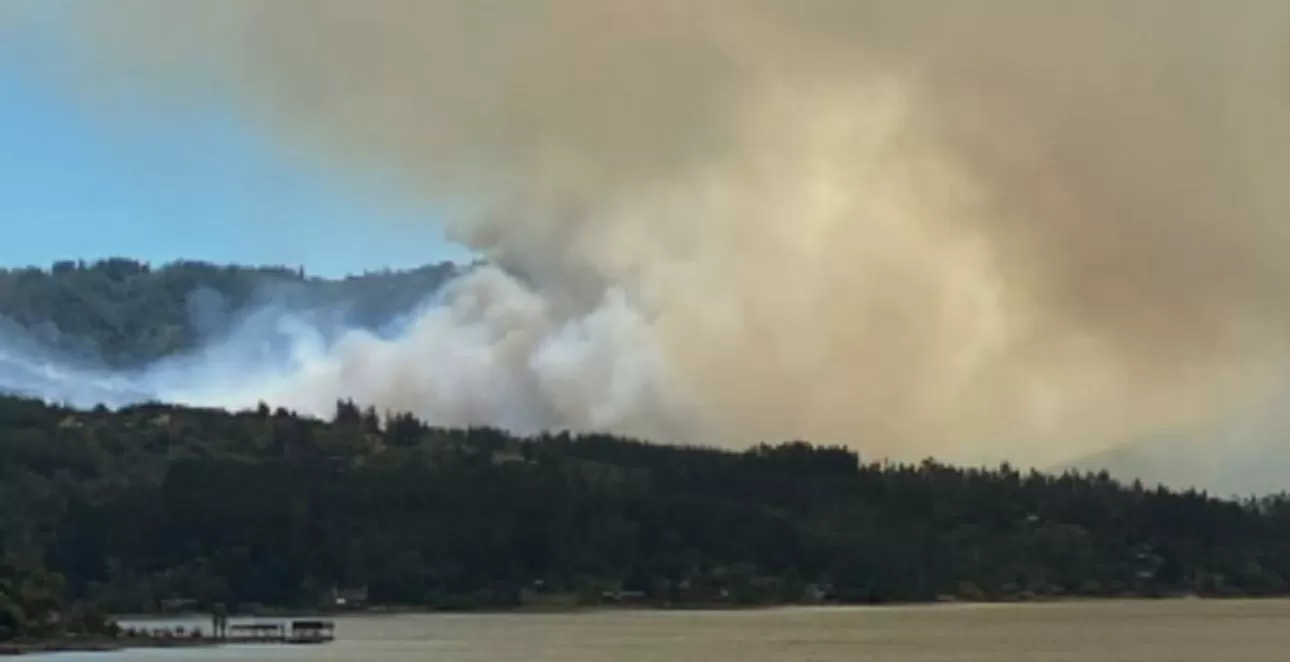 Alerta roja por incendio forestal en Vichuquén