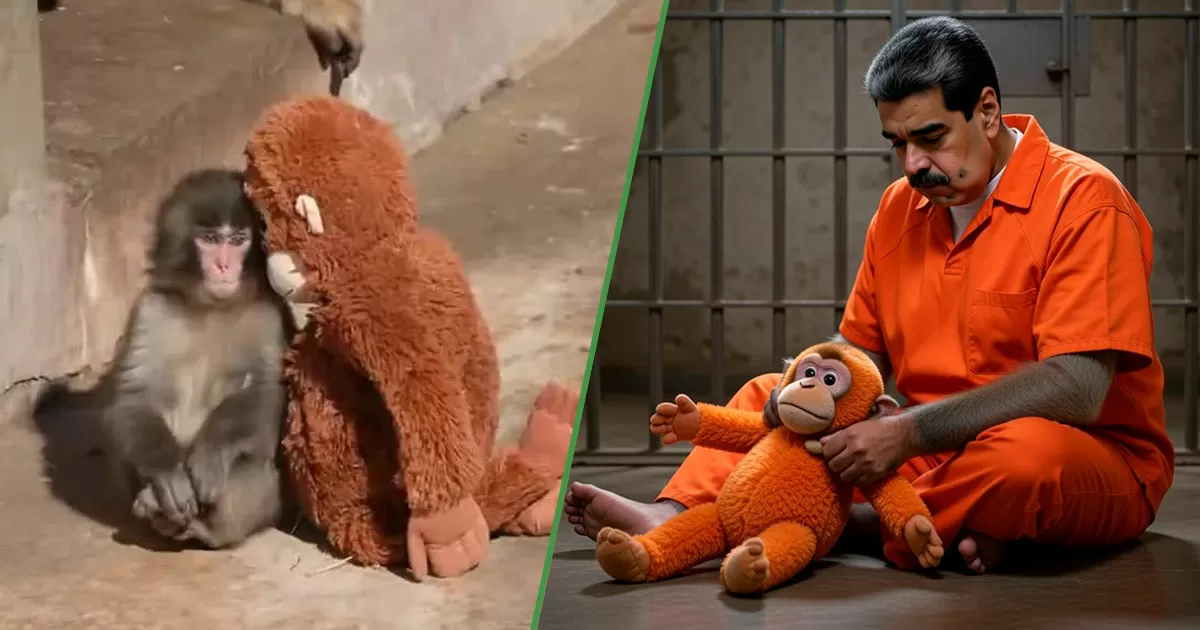 Nicolás Maduro pide que le den un changuito de peluche para nunca sentirse tan solo