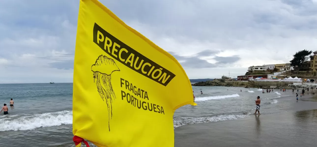 Levantan última alarma vigente por Fragata Portuguesa en región de Valparaíso