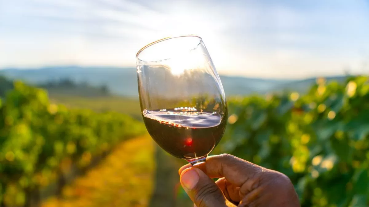 Cómo el mayor escándalo de la historia del vino destruyó el faja en Austria (y por qué ahora está remontando)