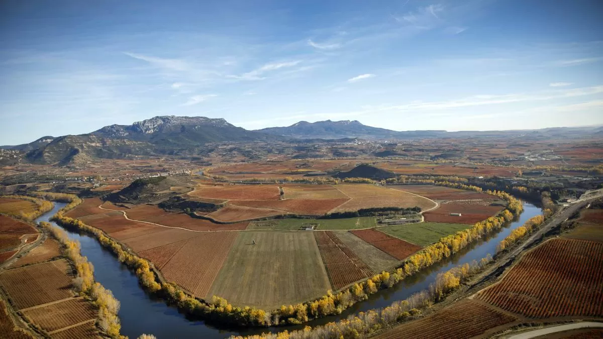 Rioja se conjura para conquistar un futuro prometedor un siglo después
