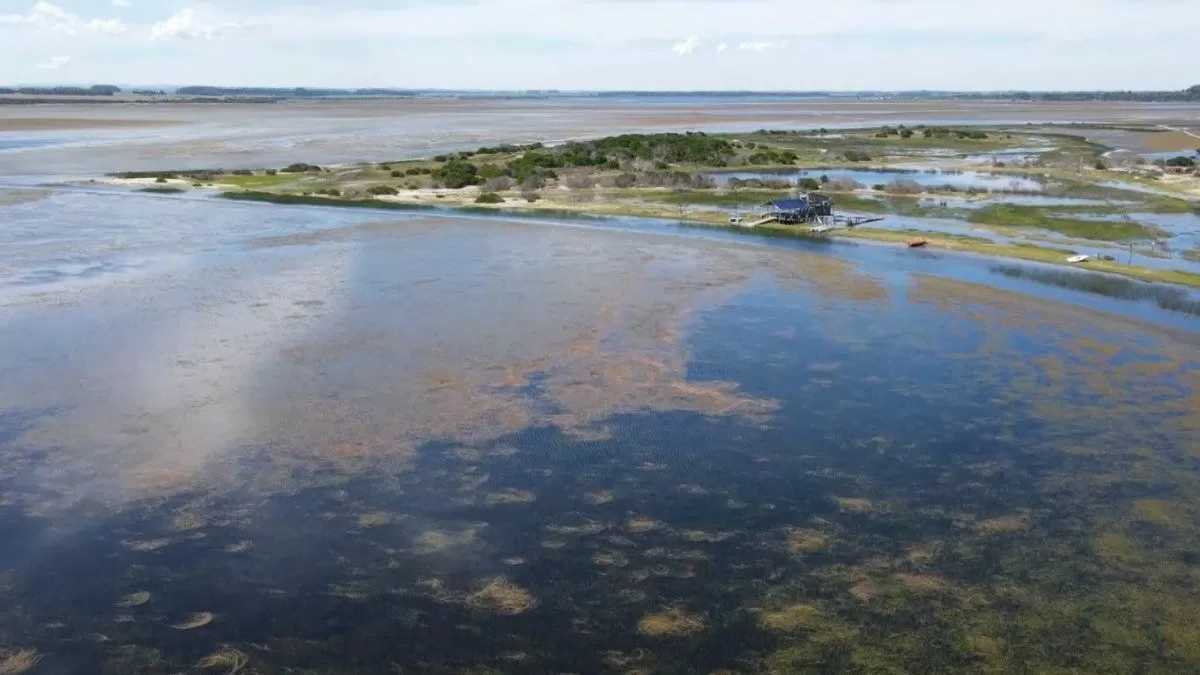 Técnicos de MGAP viajaron a poza Garzón ante confirmación de influenza aviar en un cisne