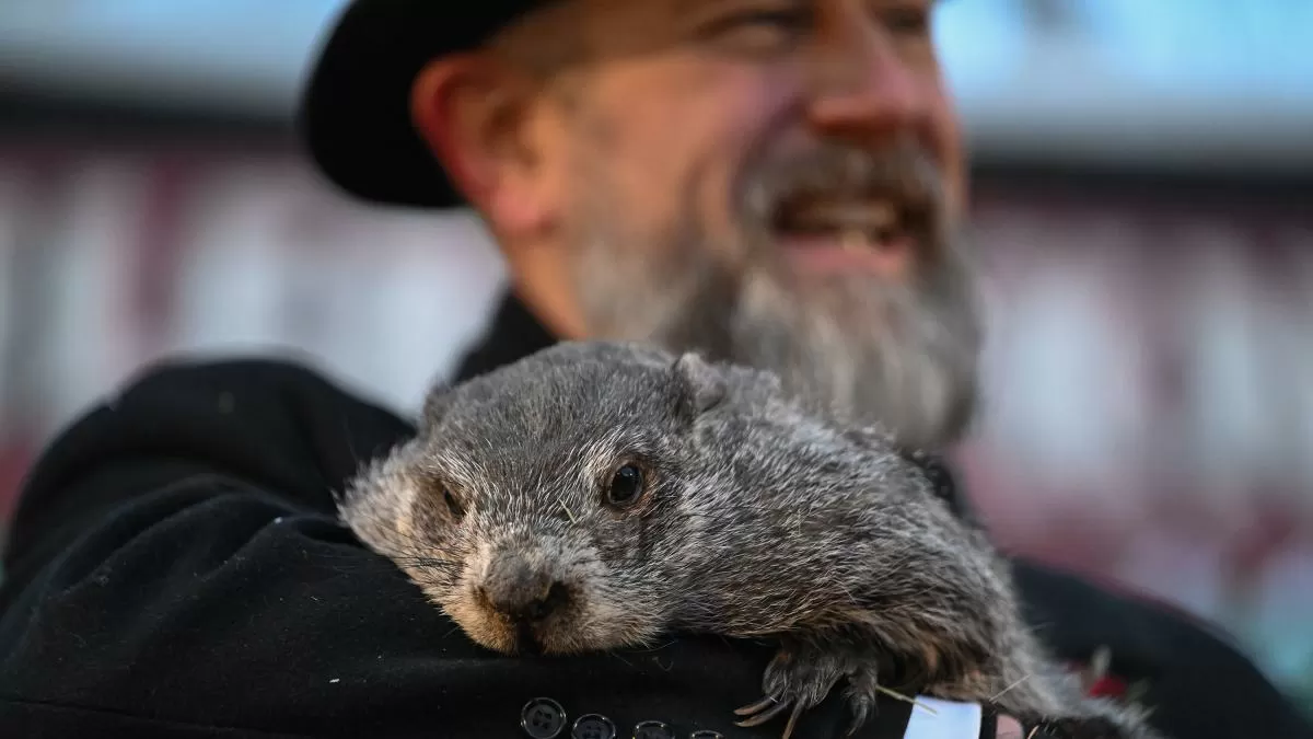 Kill Phil (matar a la marmota)
