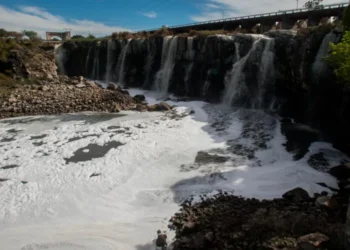 Los múltiples cinismos de ‘exceptuar’ al río Santiago | Artículo de Cindy McCulligh y Alan Carmona