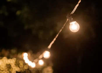 “El arte de la música en nuestras vidas”