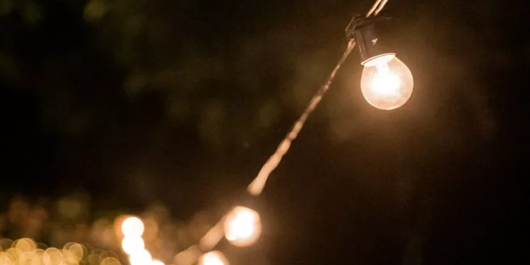 “El arte de la música en nuestras vidas”