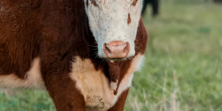 “La Economía: Impacto en la Vida y Crisis Mundiales”