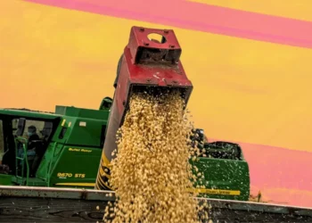 Berdegué se rinde anta los Cárteles Agro-financieros | Artículo de Alberto Vizcarra Ozuna