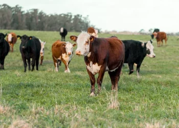 “El impacto de la economía en nuestras vidas”