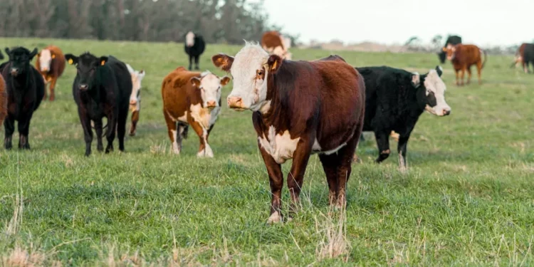 “El impacto de la economía en nuestras vidas”