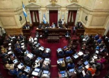 El Senado vuelve a activarse en agosto: individualidad por individualidad, los temas que moverán la agenda