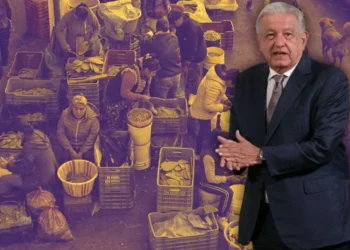 desfallecimiento y cinismo de AMLO ante los reclamos de los productores | Artículo de Alberto Vizcarra