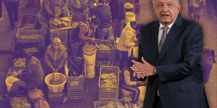 desfallecimiento y cinismo de AMLO ante los reclamos de los productores | Artículo de Alberto Vizcarra