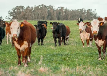 “La Economía: Clave para el éxito de una nación”