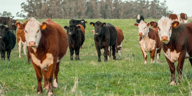 “El crecimiento económico y su impacto en la sociedad”