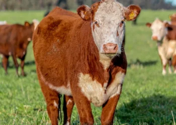 “El poder de la Economía en nuestras vidas”