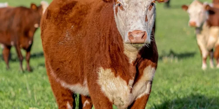 “El poder de la Economía en nuestras vidas”