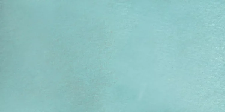 “El valor de los deportes en nuestra vida”