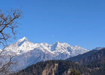 “El bienestar integral: clave para una vida plena”