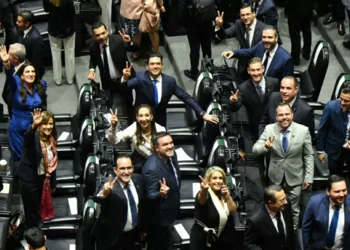 Los retos de la representación y deliberación en la democracia mexicana | Artículo de Mario Luis Fuentes