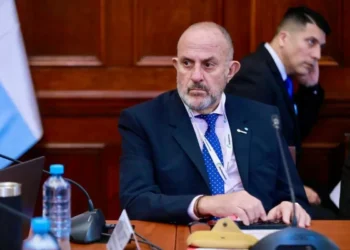 Capozzi dijo que Jones Huala “volvió a un país insólito al de antes”