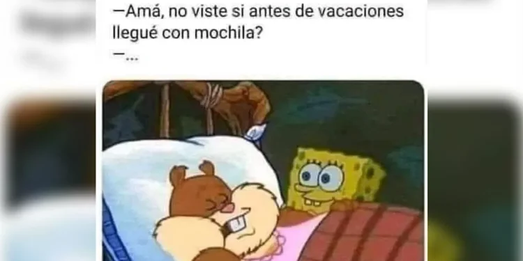 Regreso a clases 2024-2025: los mejores memes por el comienzo de clases; ¡adiós vacaciones!