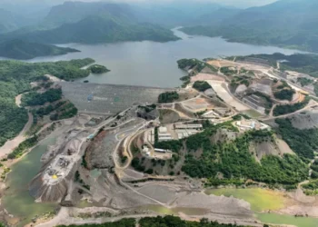 Mejoremos el ecosistema del magistral de México con el Plhino | Artículo de Alberto Vizcarra Ozuna