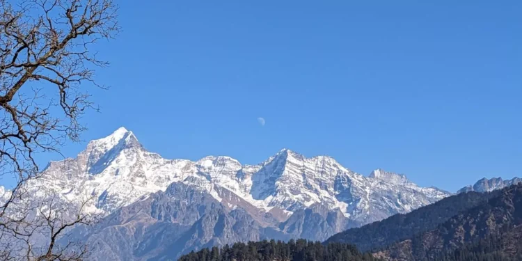 “Explorando la importancia de la salud en nuestra vida”