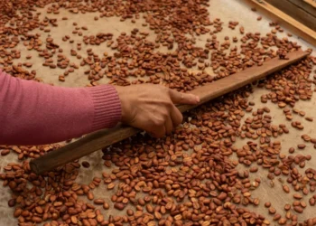 El mercado doméstico alimentario; un activo desdeñado | Artículo de Alberto Vizcarra