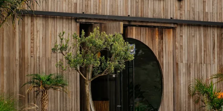 “La importancia de la Economía en nuestra vida diaria”