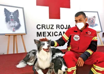 Corte avala pena mayor al asesino de Athos y Tango