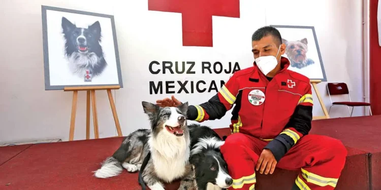 Corte avala pena mayor al asesino de Athos y Tango