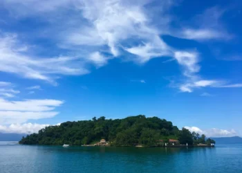 “El Ejercicio: Clave para una Vida Saludable y Plena”