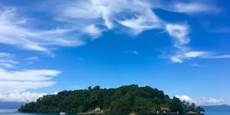 “El Ejercicio: Clave para una Vida Saludable y Plena”