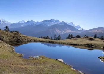 “Descubre el valor de la salud en tu vida”
