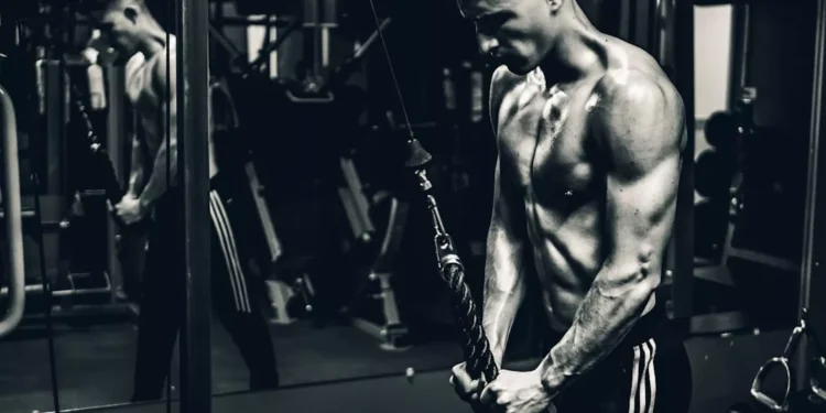 “El camino hacia una vida saludable”