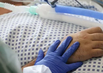 Las excesivas y dolorosas muertes | Artículo de Mario Luis Fuentes