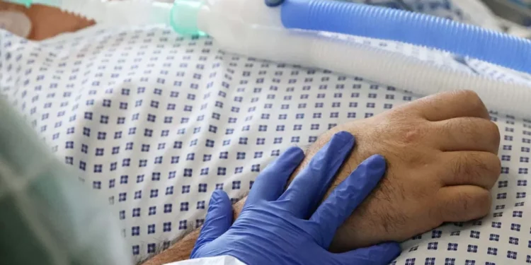 Las excesivas y dolorosas muertes | Artículo de Mario Luis Fuentes