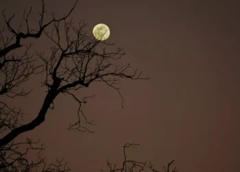 “El cuidado del cuerpo: clave para una vida plena”