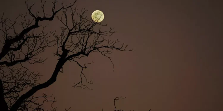 “El cuidado del cuerpo: clave para una vida plena”