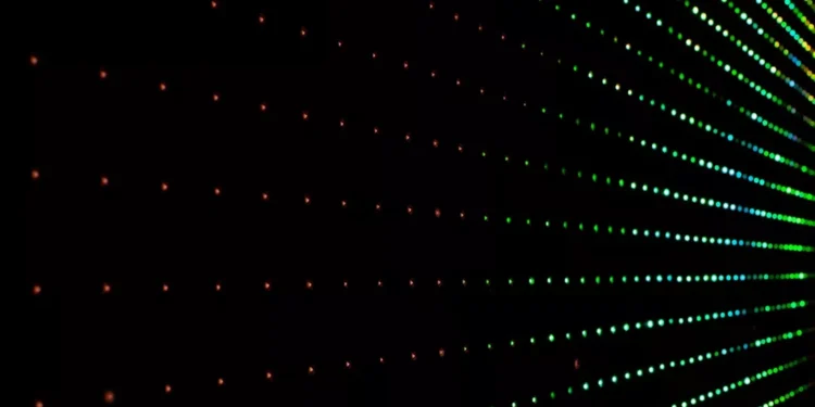 “La música: nuestra compañera de vida”