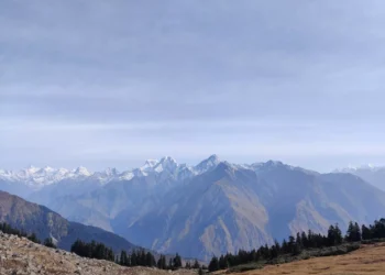 “El Valor de la Vida: Apreciarla y Vivirla al Máximo”