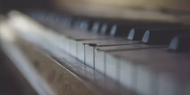 “El poder de la música: expresión, emoción y conexión”