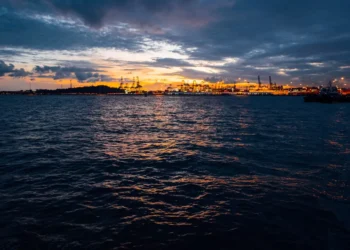 “Descubriendo la complejidad positiva de la economía”